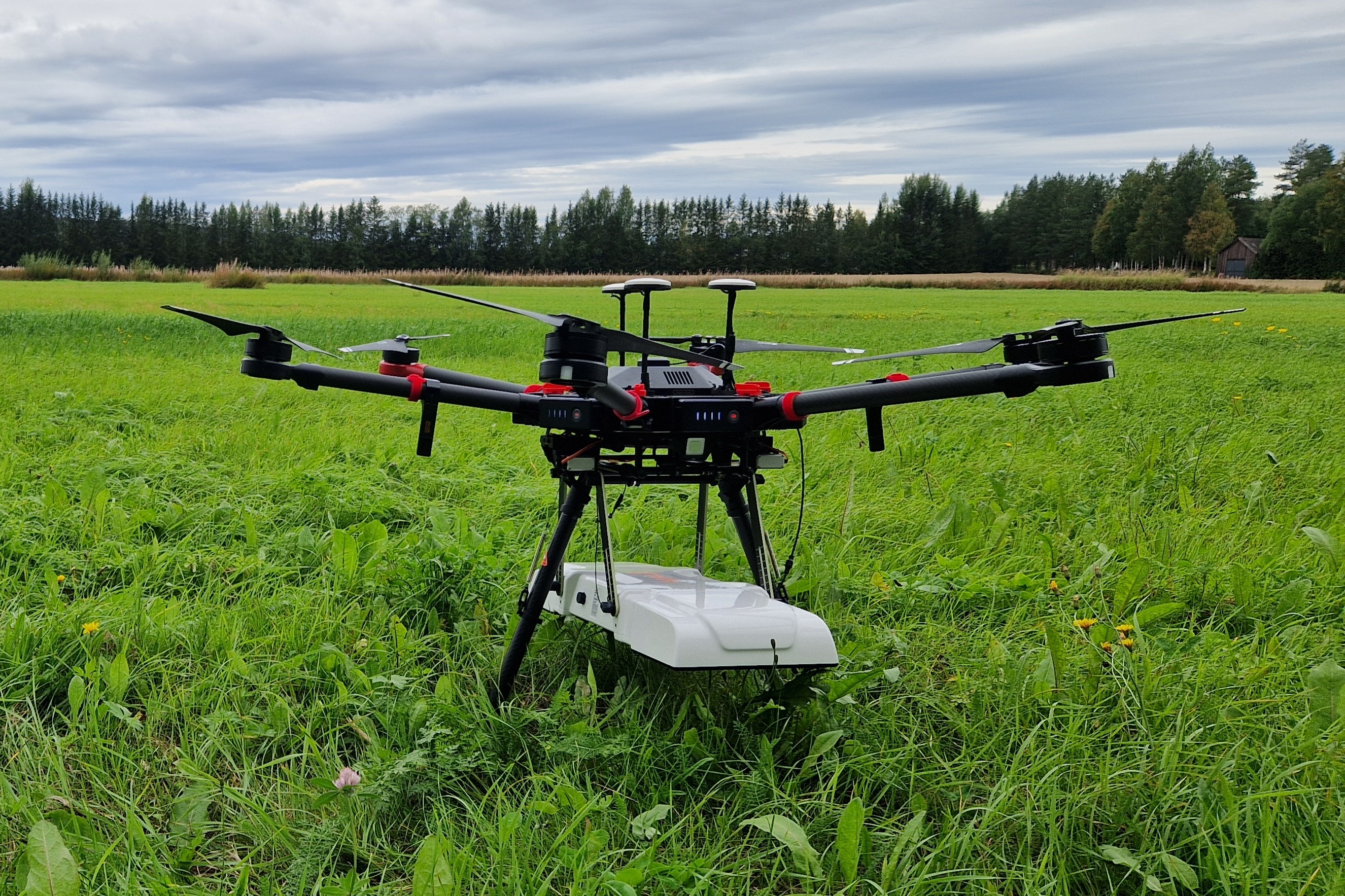 Magnetic Survey